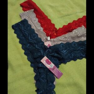 Calcinha asa delta rendada